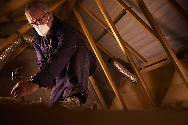 Best Best Insulation Companies  in Avonmore, PA